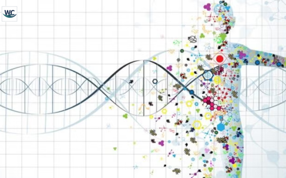 Next Frontier of Precision Medicine: A Era of Individualized Care | World Care Magazine